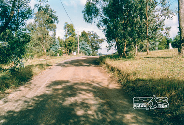 Photograph, Near 15 Wombat Drive, Eltham, 1991, 1991