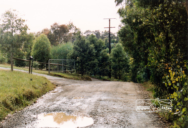 Photograph, Near 46 Wombat Drive, Eltham, 1991, 1991