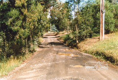 Photograph, Near 46 Wombat Drive, Eltham, 1991