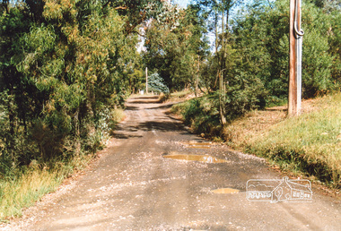 Photograph, Near 46 Wombat Drive, Eltham, 1991, 1991