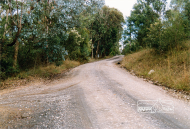Photograph, Near 60 Wombat Drive, Eltham, 1991
