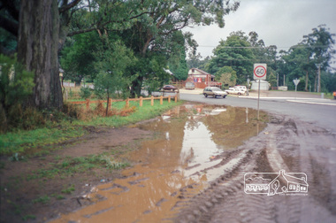 Photograph, Kinglake, c.1993, 1993c