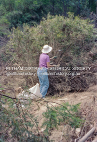 Photograph, Cleaning up debris following flooding of the Diamond Creek in Eltham, Nov-Dec 2004, Frebruary 2005
