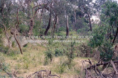Photograph, Aftermath of flooding of the Diamond Creek in Eltham, Nov-Dec 2004, 2004