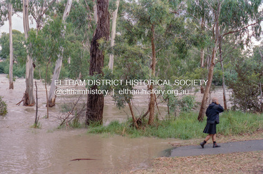 Photograph, Diamond Creek floodwaters near the Main Road Bridge, Eltham, Jan-Feb 2005, 2005