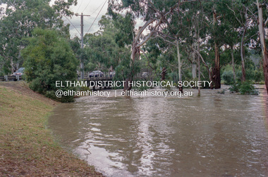 Negative - Photograph, Diamond Creek floodwaters near Main Road Bridge, Eltham, Feb. 2005