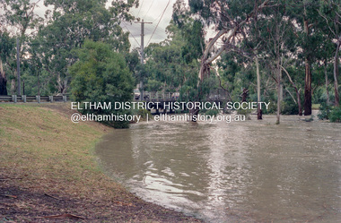 Photograph, Diamond Creek floodwaters near the Main Road Bridge, Eltham, Jan-Feb 2005, 2005