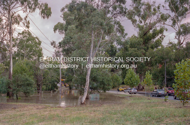 Photograph, Diamond Creek floodwaters in Wingrove Park, Eltham, Jan-Feb 2005, 2005