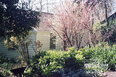 Photograph, Doug Orford, Former Caretaker's Cottage, Garden Hill, Kangaroo Ground, 1985, 1985