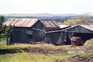 Photograph, Doug Orford, Garden Hill, Kangaroo Ground, 1985, 1985