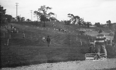 Photograph, ELTHAM ARBOR DAY 1973 - Alistair Knox with school children of the Shire of Eltham, Vic, planting native trees in the Town Park, 10 October 1973, 1973-10-10