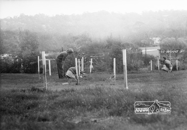 Photograph, ELTHAM ARBOR DAY 1973 - Alistair Knox with school children of the Shire of Eltham, Vic, planting native trees in the Town Park, 10 October 1973, 1973-10-10