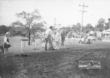 Photograph, ELTHAM ARBOR DAY 1973 - Alistair Knox with school children of the Shire of Eltham, Vic, planting native trees in the Town Park, 10 October 1973, 1973-10-10