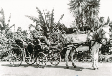Photograph, Tom Prior, The Mosleys with donkey and cart, Ingrams Road, Research