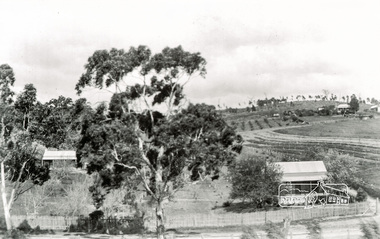 Photograph, Tom Prior, The two houses built by Richard Reynolds, Research