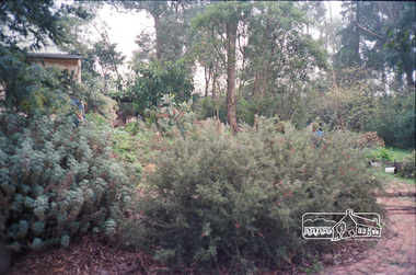 Photograph, Panton Hill Living and Learning Centre and adjacent Panton Hill Tennis Court, 22 September 1988, 1988