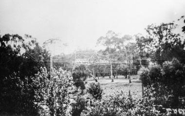 Photograph, Grace Mitchell, Bremners Flat, Main Road, Eltham, 1958c
