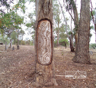 Photograph, Richard Pinn, Wurrundjeri Dendroglyph at Garrambi Baan, Laughing Waters Road, Eltham, 2 May 2018, 2 May 2018