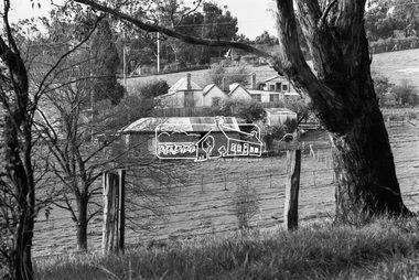 Photograph, George Coop, Carrucan's Dairy on Dalton Street, Eltham, c.1969, 1969
