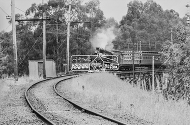Photograph, Steam locomotive D639 hauling Tait (Red Rattler) carriages crossing the Eltham Railway Trestle Bridge approaching Eltham, c.1970, 1970