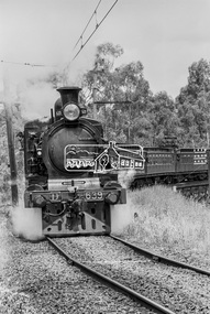 Photograph, Steam locomotive D639 hauling Tait (Red Rattler) carriages crossing the Eltham Railway Trestle Bridge approaching Eltham, c.1970, 1970