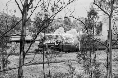 Photograph, Steam locomotive D639 with Tait (Red Rattler) carriages approaching the level crossing at Wattletree Road, Eltham, c.1970, 1970