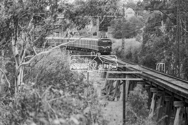 Photograph, George Coop, Princes Bridge bound Harris (Blue) train crossing the Eltham Railway Trestle Bridge, March 1980, 1980