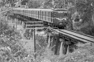Photograph, George Coop, Princes Bridge bound Harris (Blue) train crossing the Eltham Railway Trestle Bridge, March 1980, 1980