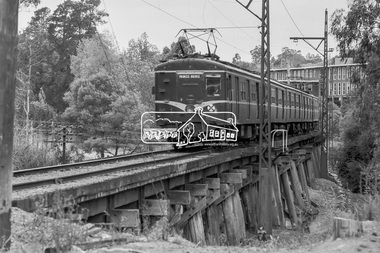 Photograph, George Coop, Princes Bridge bound Harris (Blue) train crossing the Eltham Railway Trestle Bridge, March 1980, 1980