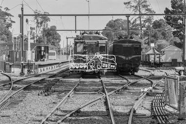 Photograph, Two Harris (Blue) trains at Eltham Station, March 1980, 1980