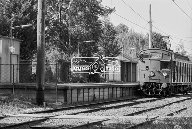 Photograph, George Coop, Single Motor Carriage 471M Tait train at Diamond Creek Railway Station bound for Eltham, March 1980, 1980
