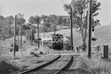 Photograph, George Coop, Single Motor Carriage 471M Tait (Red Rattler) train near Allendale Road level crossing, Eltham, March 1980, 1980