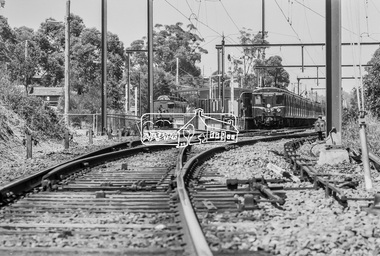 Photograph, George Coop, Single Motor Carriage 471M Red Rattler Tait train and a Harris (Blue) train at Eltham Station, c. December 1980, 1980