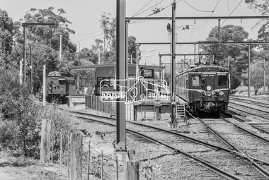 Photograph, George Coop, Single Motor Carriage 471M Red Rattler Tait train and a Harris (Blue) train at Eltham Station, c. December 1980, 1980