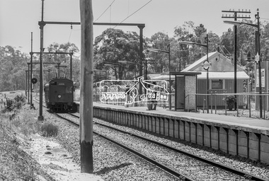 Photograph, George Coop, An Eltham bound single carriage Tait (Red Rattler) train from Hurstbridge arrives at Wattle Glen Railway Station, 6 December 1980, 1980