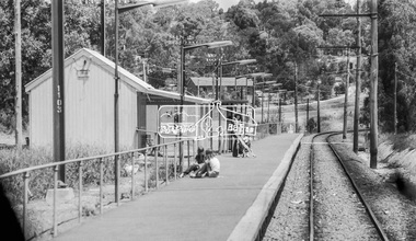 Photograph, George Coop, Arriving from Hurstbridge at Wattle Glen Railway Station, 6 December 1980, 1980