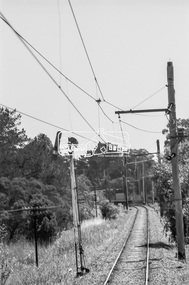 Photograph, George Coop, Approaching Diamond Creek Railway Station from Hurstbridge, 6 December 1980, 1980