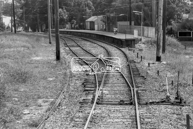 Photograph, George Coop, Approaching Diamond Creek Railway Station from Hurstbridge, 6 December 1980, 1980