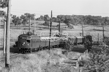 Photograph, George Coop, A Tait (Red Rattler) train passes  through the level crossing at Allendale Road, Eltham bound for Princes Bridge, c.1981, 1981