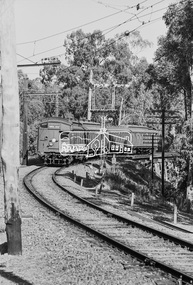 Photograph, George Coop, A Tait (Red Rattler) train bound for Princes Bridge commences crossing the Eltham Railway Trestle Bridge, c.1981, 1981