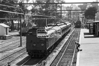 Photograph, George Coop, Eltham Railway Station, c.1981, 1981