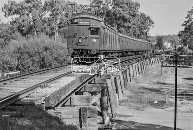 Photograph, George Coop, A Tait (Red Rattler) crosses the Eltham Railway Trestle bridge on its approach to Eltham Station, 1981, 1981