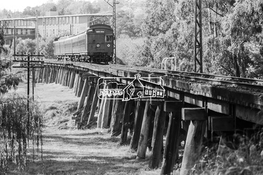 Photograph, George Coop, A Tait (Red Rattler) train bound for Princes Bridge crosses the Railway Trestle bridge, Eltham, 1981