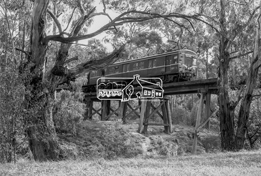 Photograph, George Coop, A Harris (Blue) train bound for Princes Bridge crosses the Eltham Railway Trestle Bridge, c.1981, 1981