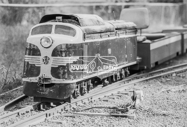 Photograph, George Coop, Diamond Valley Railway, Eltham Lower Park, c.1981, 1981