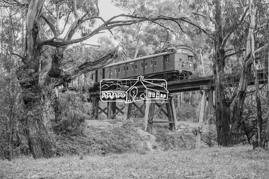 Photograph, George Coop, A Tait (Red Rattler) train bound for Princes Bridge crosses the Eltham Railway Trestle Bridge, c.1981, 1981