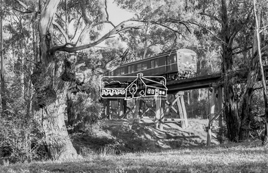 Photograph, George Coop, A Harris (Blue) train approaching Eltham crosses the Eltham Railway Trestle Bridge, c.1981, 1981