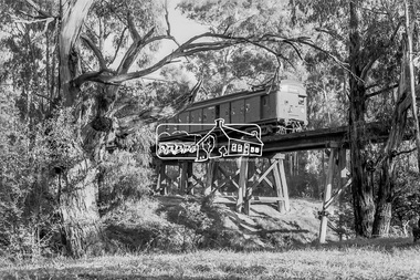 Photograph, George Coop, A Tait (Red Rattler) train bound for Princes Bridge crosses the Eltham Railway Trestle Bridge, c.1981, 1981