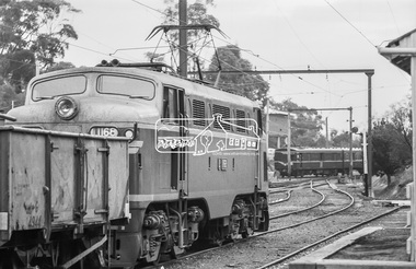 Photograph, George Coop, L1168, an L-class electric locomtive shunting freight cars at Eltham Railway Station, c.1981, 1981
