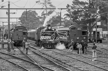 Photograph, George Coop, Steam locomotive K-190 with two Tait (Red Rattler) trains at Eltham Railway Station, c.1981, 1981
